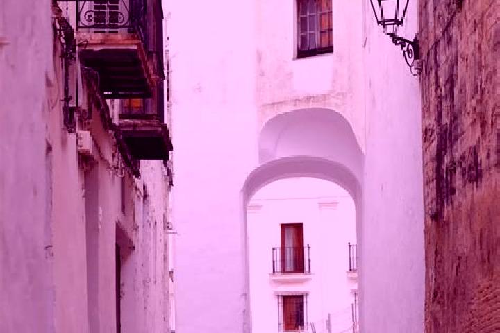 Elizabeth, 30 — Escort in Arcos de las Salinas, Spain