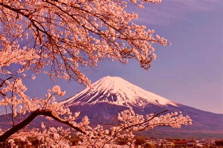 Elizabeth, 30 — Escort in Koshi, Japan
