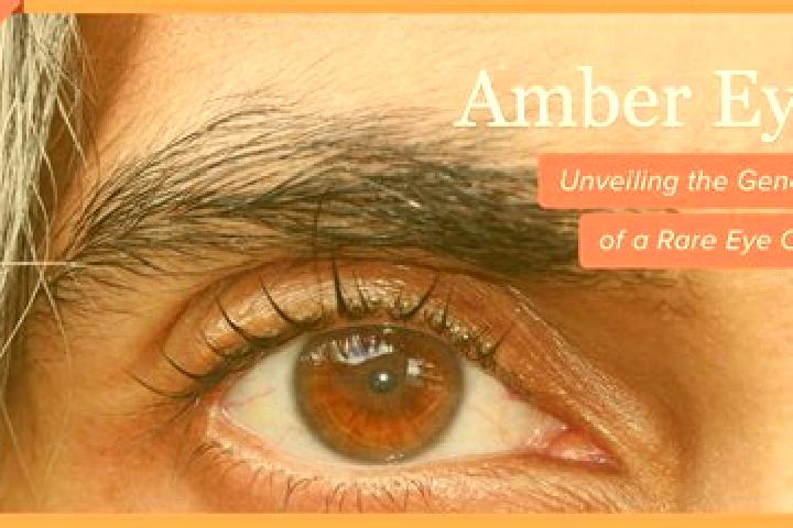 Elizabeth, 31, a black amber-eyed european companion based in Minmi. Offering OWO, Overnight, Dinner Date. Available for incall and outcall, overnight bookin...