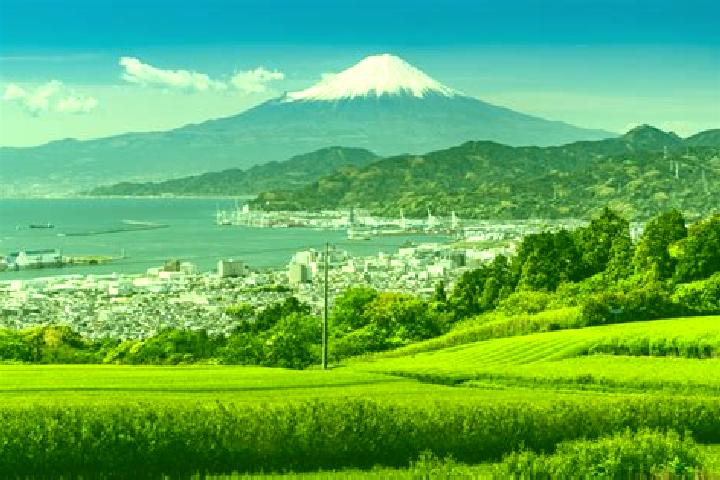 Elizabeth, 31 — Escort in Izunokuni, Japan