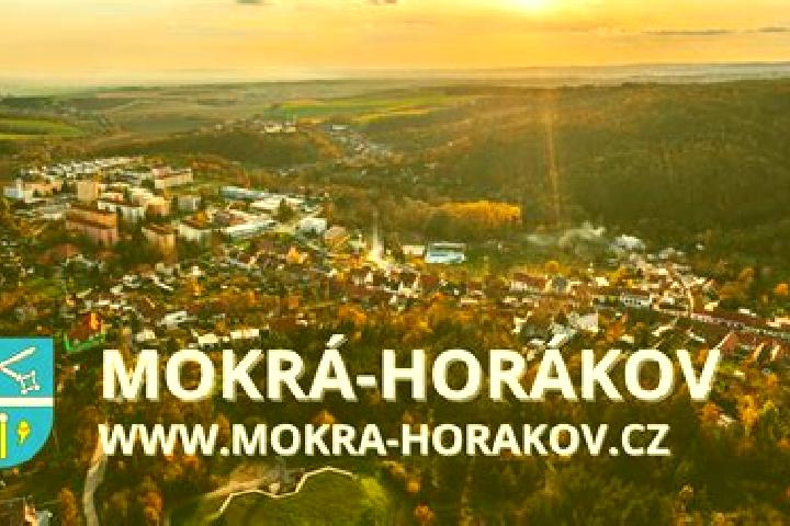 Elizabeth, 31 — Escort in Mokra-Horakov, Czech Republic