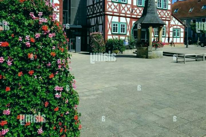 Elizabeth, 31 — Escort in Stadtlauringen, Germany