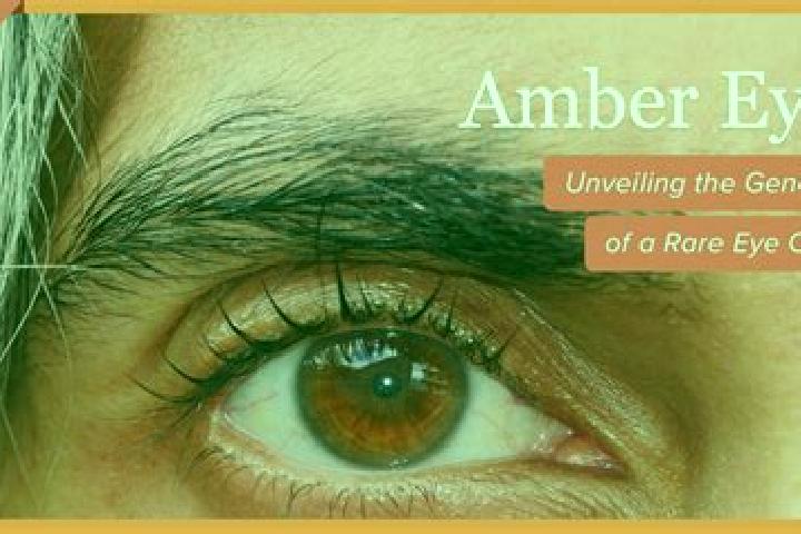 Elizabeth, 32, a red amber-eyed ebony companion based in Sengerema. Offering Massage, CIM, Roleplay. Available for incall and outcall, day and evening dates.