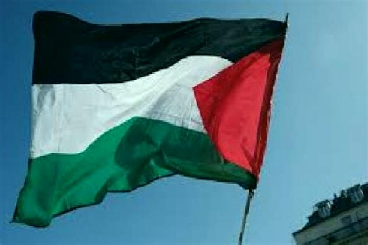 Elizabeth, 32 — Escort in Az Zahiriyah, Palestine