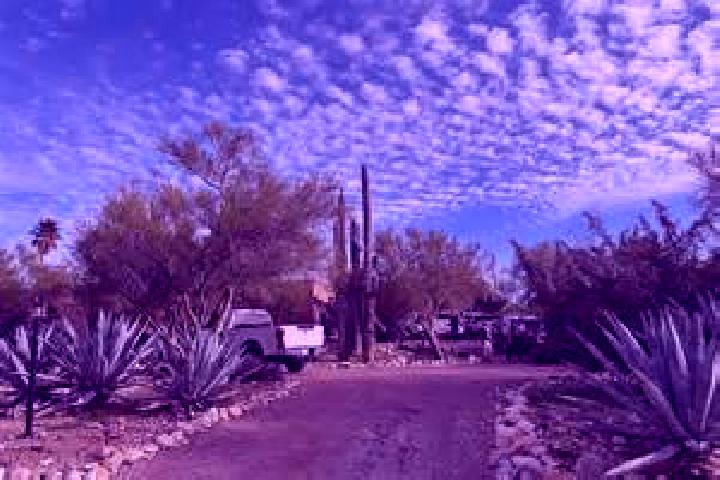 Elizabeth, 32 — Escort in Catalina Foothills, United States