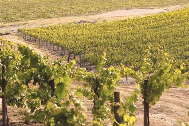 Elizabeth, 32 — Escort in Vineyard, Australia