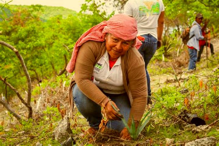 Elizabeth, 32 — Escort in Xochipala, Mexico