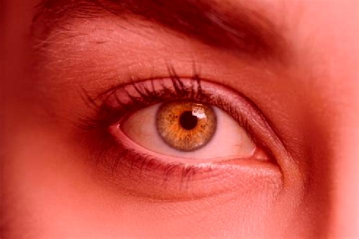 Elizabeth, 33, a chestnut hazel-eyed mixed companion based in Wathena. Offering CIM, Tantra. Available for incall and outcall, day and evening dates.