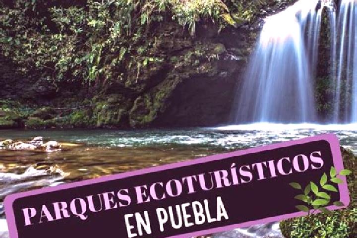 Elizabeth, 33 — Escort in Barrio Puentecillas el Deposito, Mexico