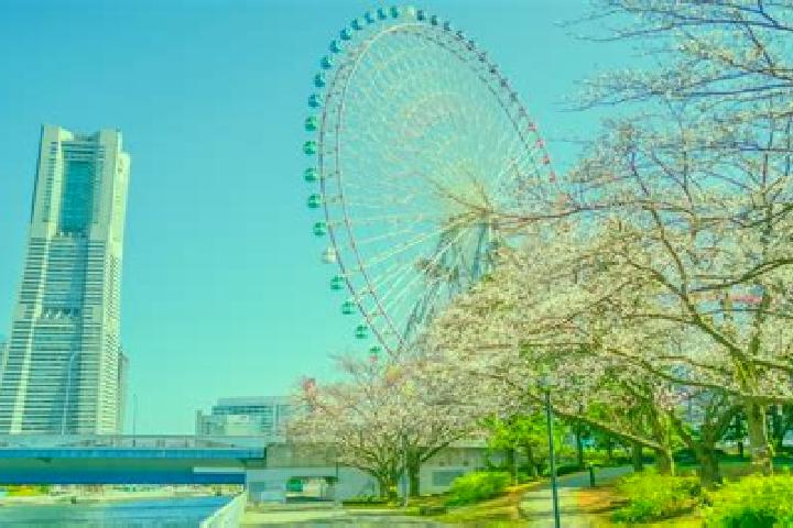 Elizabeth, 33 — Escort in Minatomirai, Japan