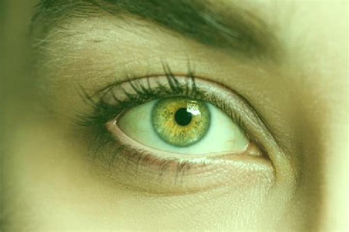 Elizabeth, 34, a black hazel-eyed caucasian companion based in At Tayyibah. Offering CIM, Prostate Massage, Travel Companion. Available for incall and outcal...