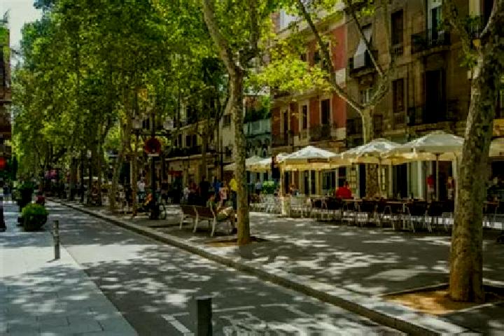 Elizabeth, 34, a chestnut amber-eyed mediterranean companion based in Barri de Sant Andreu. Offering Erotic Massage, Dinner Date, OWO. Available for incall a...