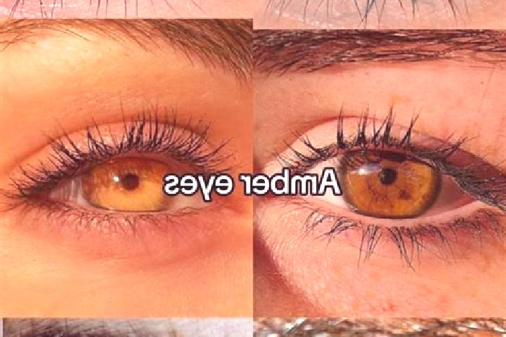 Elizabeth, 36, a brunette amber-eyed caucasian companion based in Othery. Offering 69, OWO, Massage. Available for incall and outcall, overnight bookings ava...