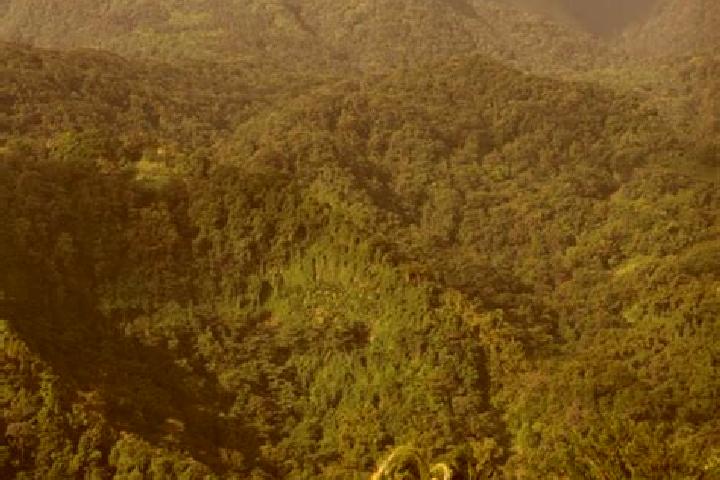 Elizabeth, 36 — Escort in L Ajoupa-Bouillon, Martinique