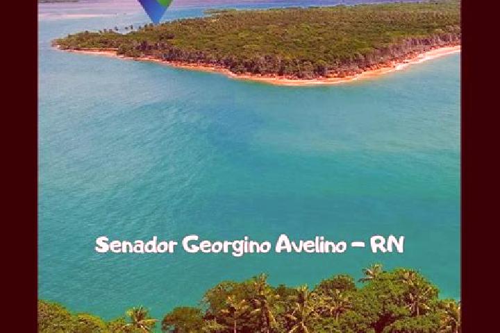 Elizabeth, 36 — Escort in Senador Georgino Avelino, Brazil