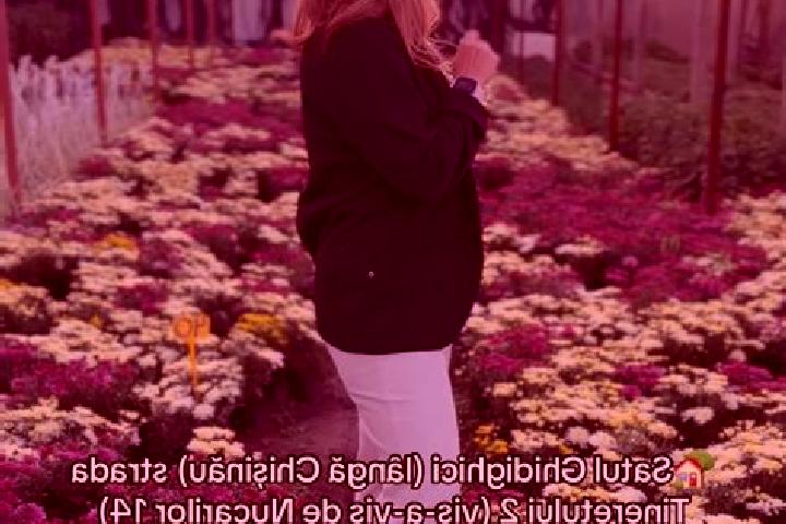 Elizabeth, 36 — Escort in Valea Nucarilor, Romania
