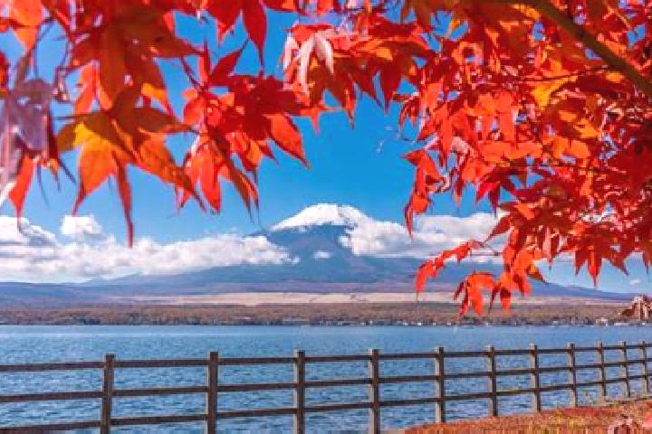 Elizabeth, 37 — Escort in Tagami, Japan