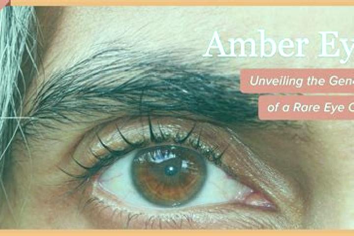 Elizabeth, 38, a black amber-eyed middle eastern companion based in Cseteny. Offering Dinner Date, Tantra, A-Level. Available for incall and outcall, overnig...