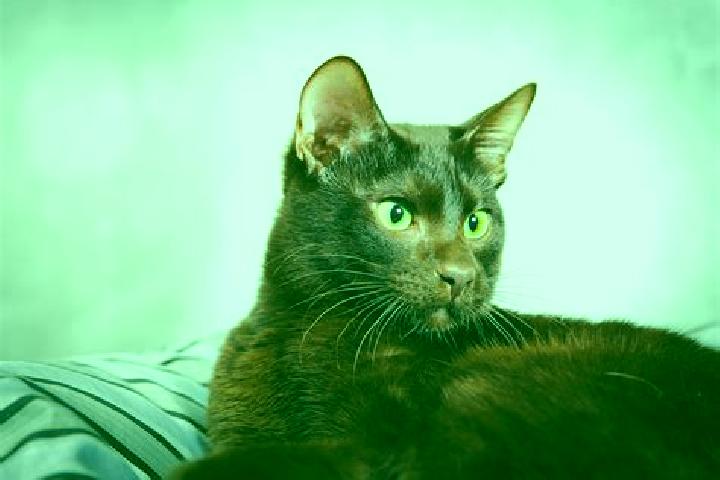 Elizabeth, 38, a black brown-eyed mixed companion based in Puerto Carreno. Offering CIM, Couples, Deep French Kissing, Travel Companion, Roleplay. Available ...