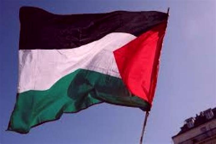 Elizabeth, 38 — Escort in Az Zuwaydah, Palestine