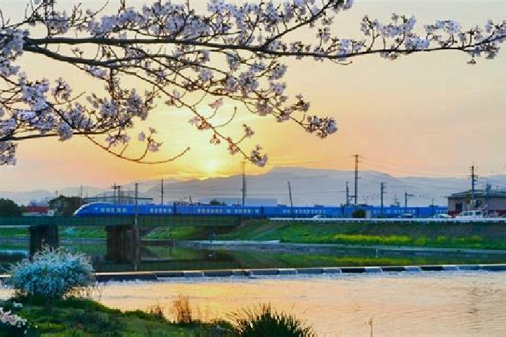 Elizabeth, 38 — Escort in Yukuhashi, Japan