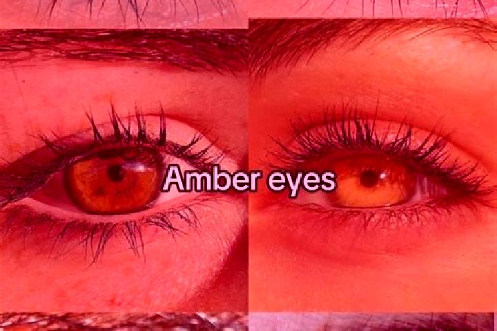 Elizabeth, 39, a chestnut amber-eyed mediterranean companion based in Longboat Key. Offering Massage, CIM, A-Level, OWO. Available for incall and outcall, da...