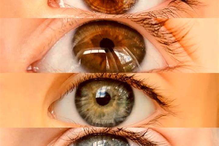 Elizabeth, 39, a chestnut grey-eyed mixed companion based in Boambee. Offering Tantra, Overnight, Deep French Kissing, OWO. Available for incall and outcall,...