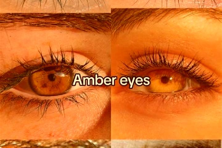 Elizabeth, 39, a dark blonde amber-eyed caucasian companion based in Zellberg. Offering A-Level, Girlfriend Experience, GFE, Dinner Date. Available for incal...