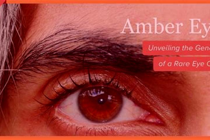 Elizabeth, 39, a red amber-eyed mixed companion based in Beverare. Offering Girlfriend Experience, Overnight, Tantra. Available for incall and outcall, overn...