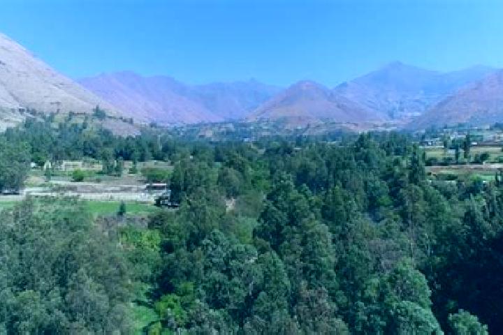 Elizabeth, 39 — Escort in Acobambilla, Peru