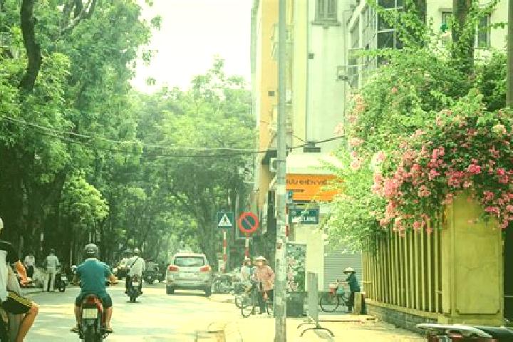 Elizabeth, 39 — Escort in GJong GJa, Vietnam