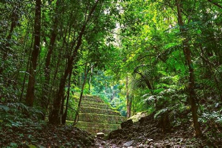 Elizabeth, 39 — Escort in La Selva, Mexico