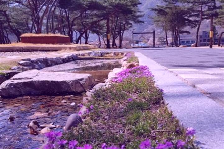 Elizabeth, 39 — Escort in Mungyeong, South Korea