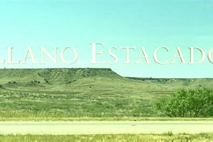 Elizabeth, 39 — Escort in Nuevo Llano Grande, Mexico