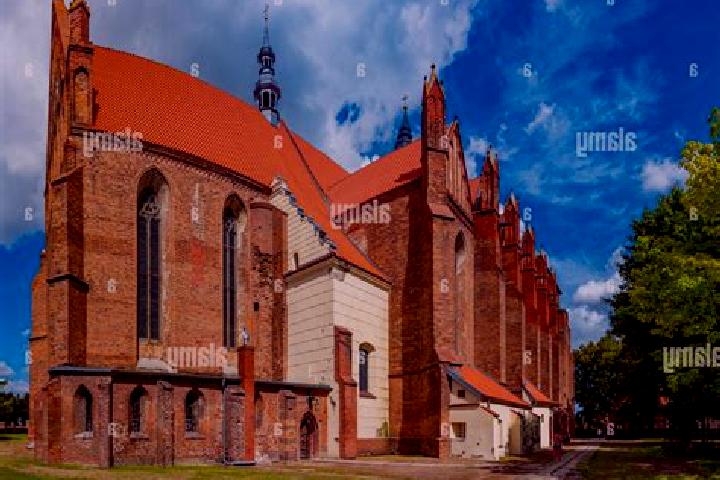 Ella, 20 — Escort in Chelmno, Poland