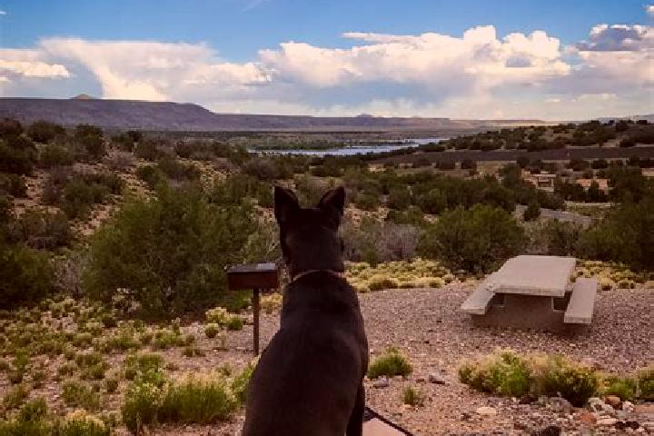 Ella, 20 — Escort in Cochiti Lake, United States