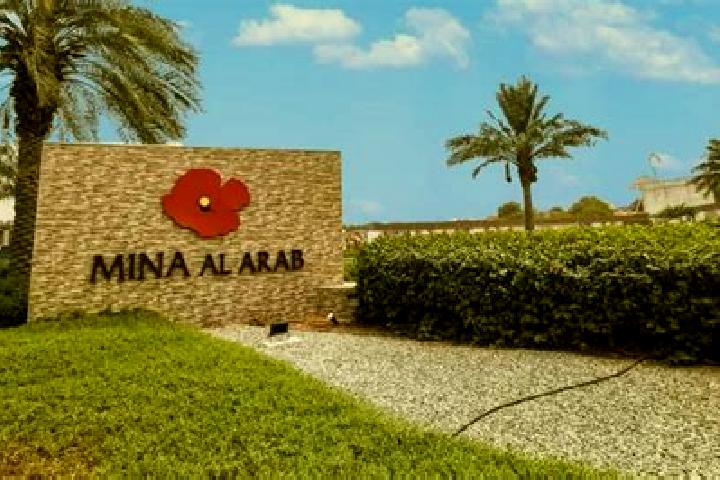 Ella, 20 — Escort in Jubb al Jarrah, Syria