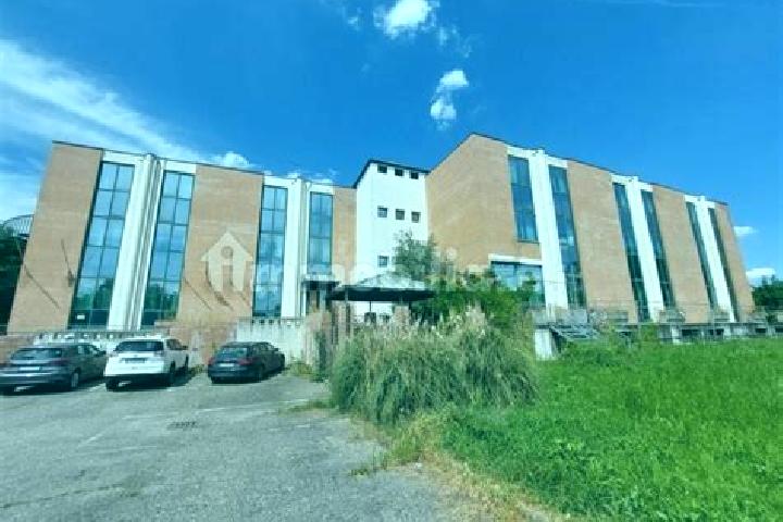 Ella, 20 — Escort in Praticello di Gattatico, Italy