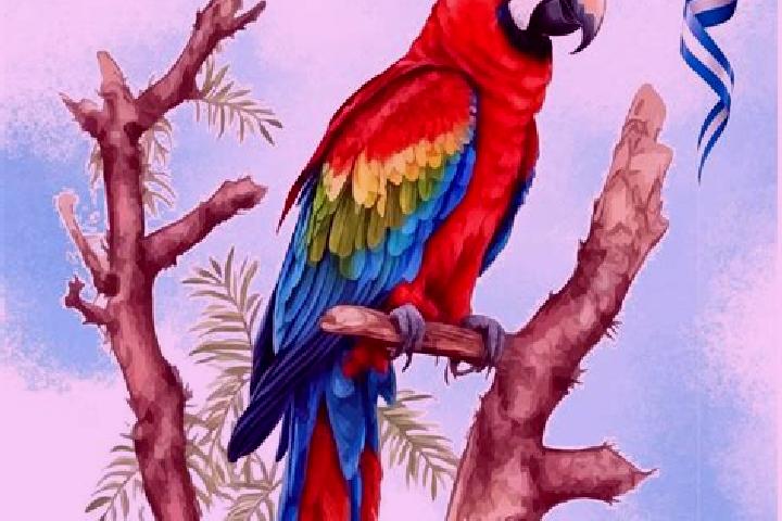 Ella, 20 — Escort in Rio Bonito, Honduras