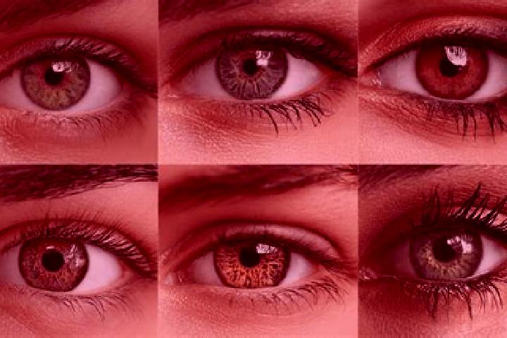 Ella, 21, a red hazel-eyed mediterranean companion based in Scandale. Offering OWO, Fetish, Roleplay. Available for incall and outcall, overnight bookings av...