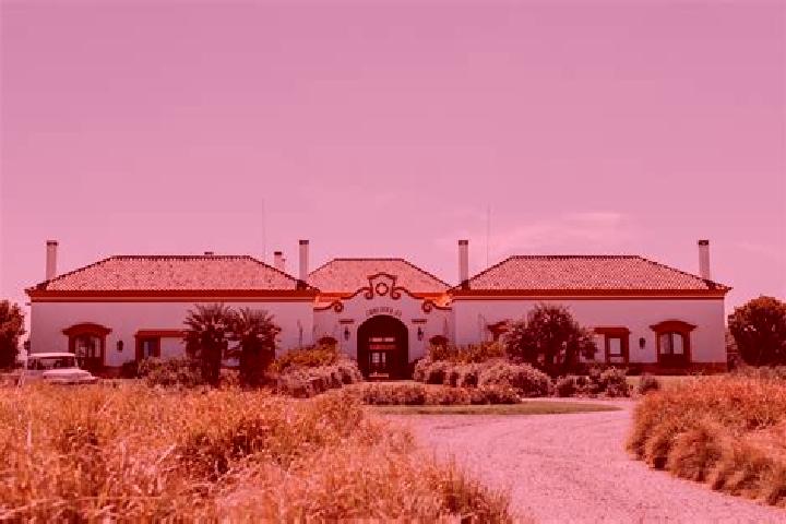 Ella, 21 — Escort in Alto de La Estancia, Panama