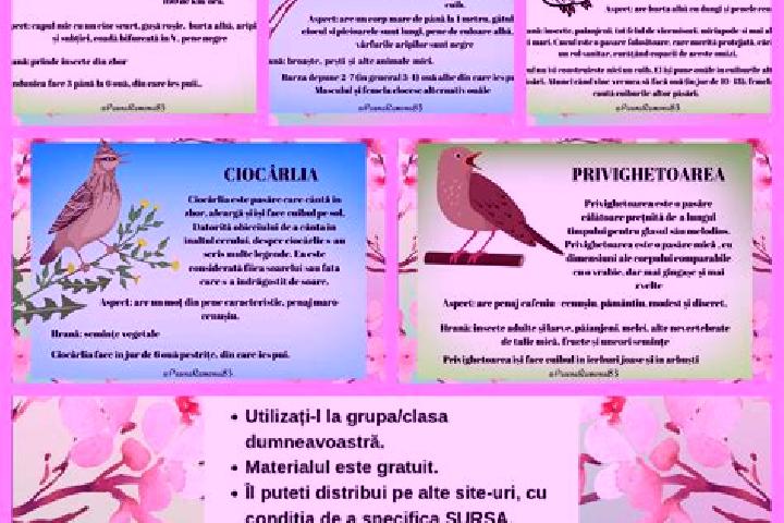 Ella, 21 — Escort in Ciocarlia de Sus, Romania