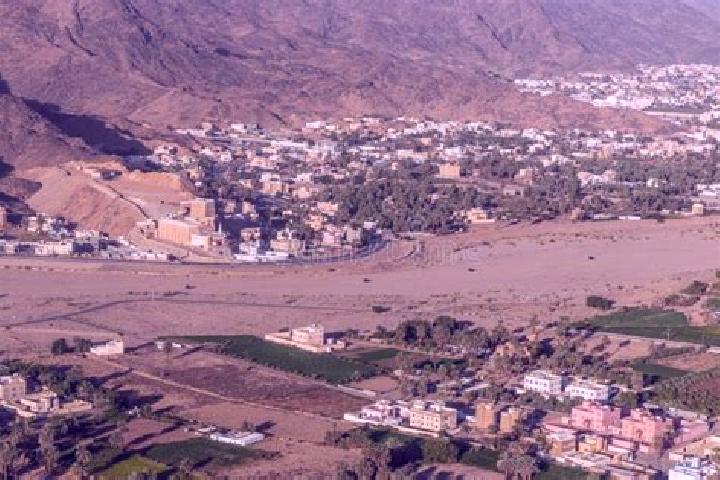 Ella, 21 — Escort in Najran, Saudi Arabia