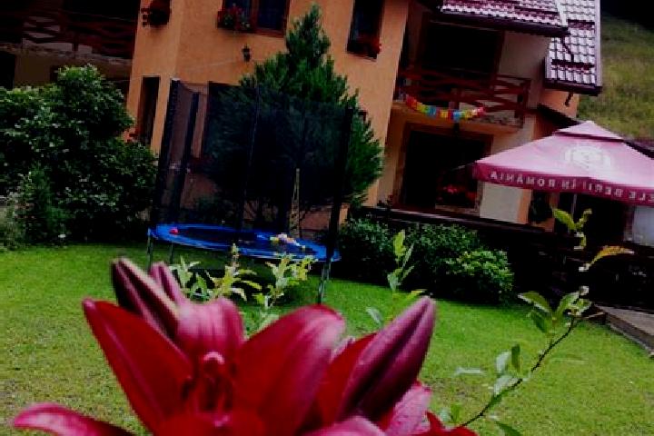 Ella, 21 — Escort in Rachitele de Jos, Romania