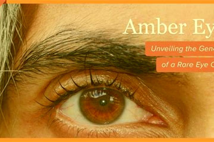 Ella, 22, a red amber-eyed indian companion based in Thepha. Offering Girlfriend Experience, Travel Companion, A-Level. Available for incall and outcall, day...