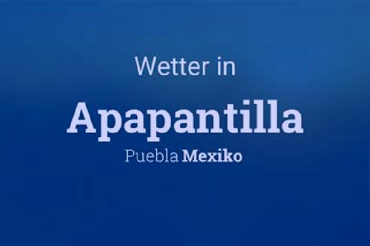 Ella, 22 — Escort in Apapantilla, Mexico