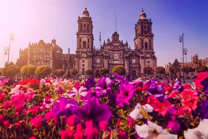 Ella, 22 — Escort in Ciudad de Huitzuco, Mexico