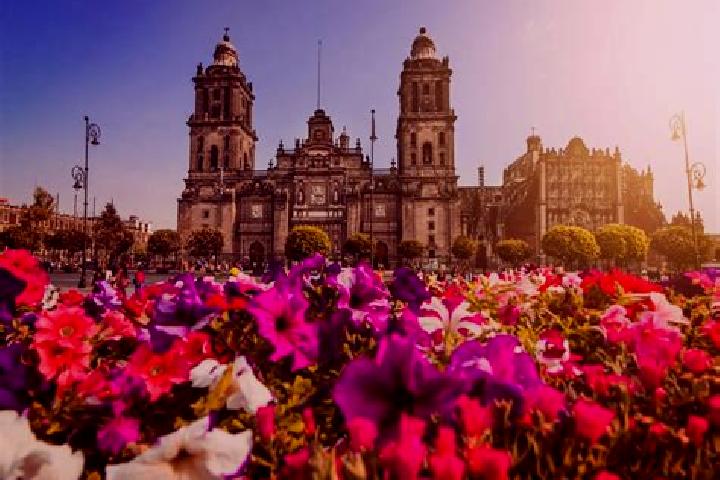 Ella, 22 — Escort in Ciudad Delicias, Mexico