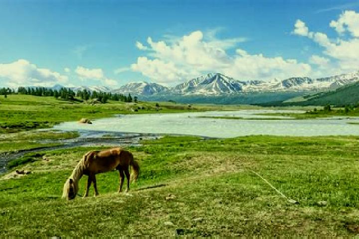 Ella, 22 — Escort in Havirga, Mongolia