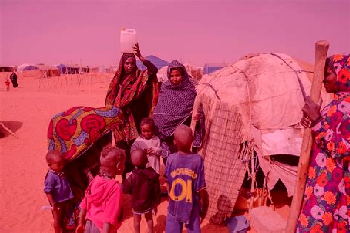Ella, 22 — Escort in Mbera, Mauritania